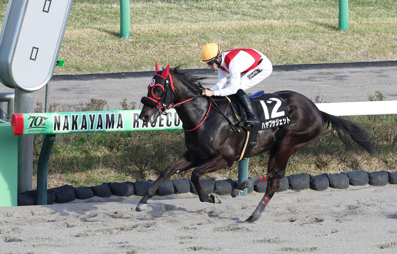 袖ケ浦特別を制したハヤブサジェットと石川騎手（2024年4月13日撮影）