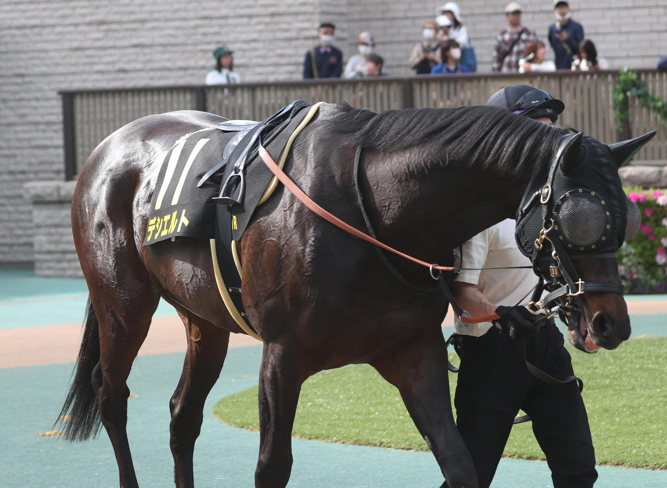 20日、オアシスS5着のデシエルト