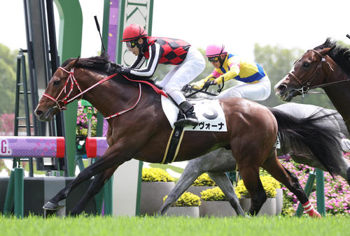 20日、京都6Rの4歳上1勝クラスを制したナヴォーナ