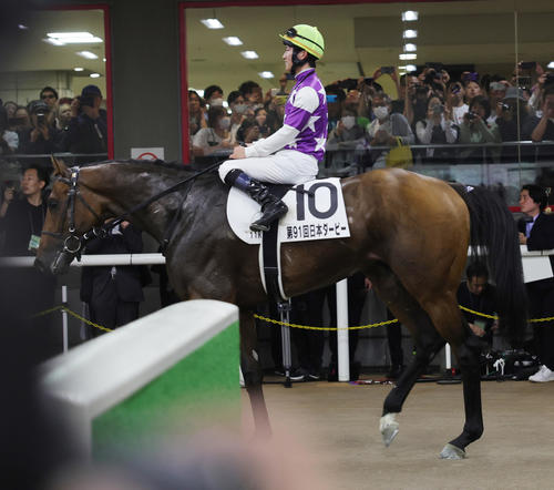 日本ダービーで12着に終わったサンライズジパングと菅原明良騎手