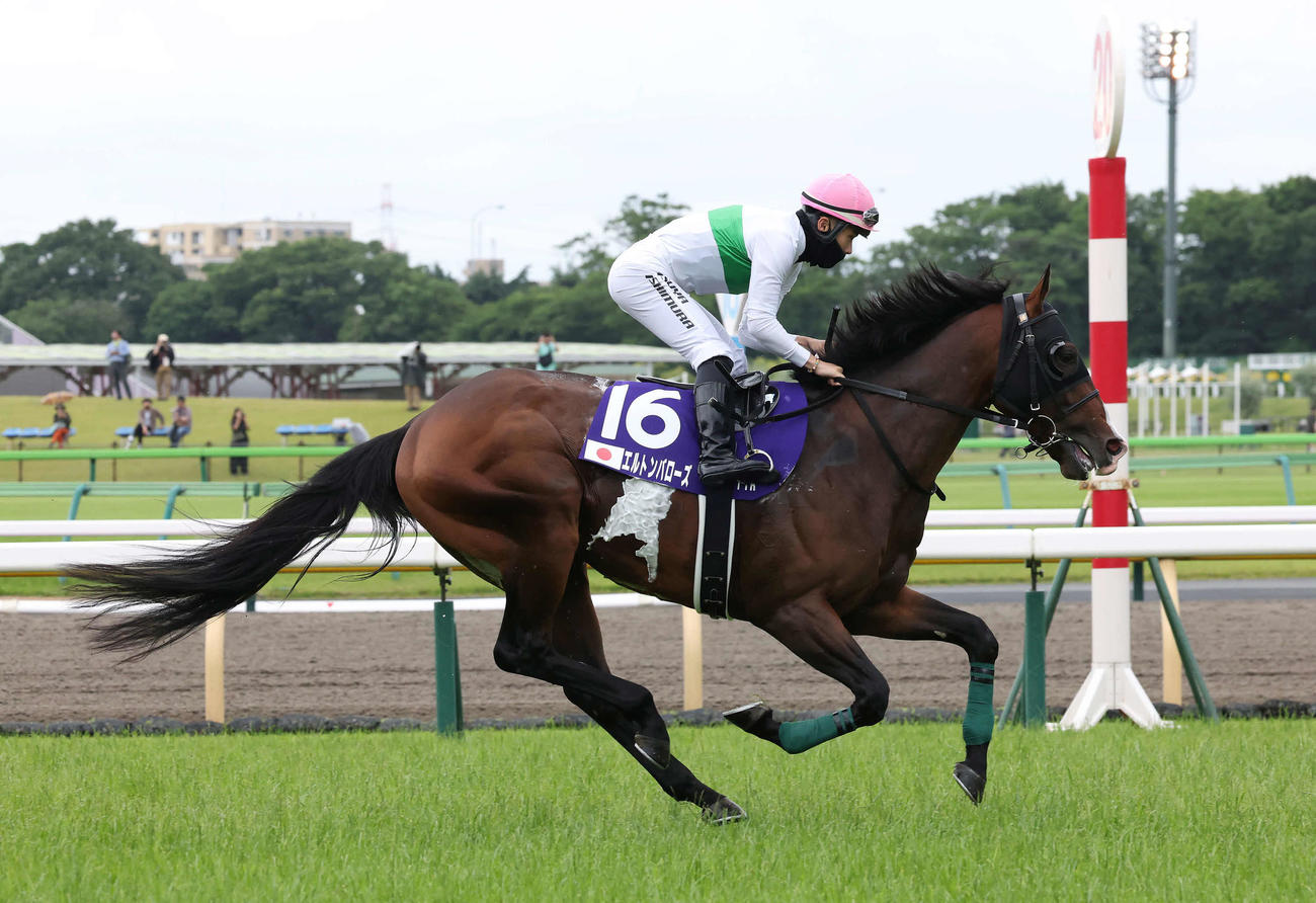 安田記念に出走したエルトンバローズと西村淳騎手（2024年6月2日撮影）