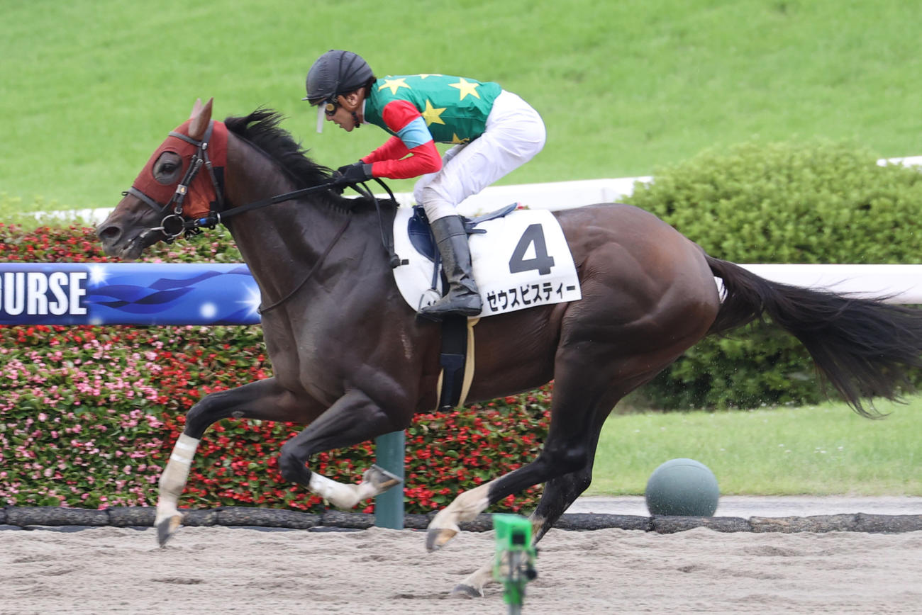 6日、福島12Rを制したゼウスビスティー