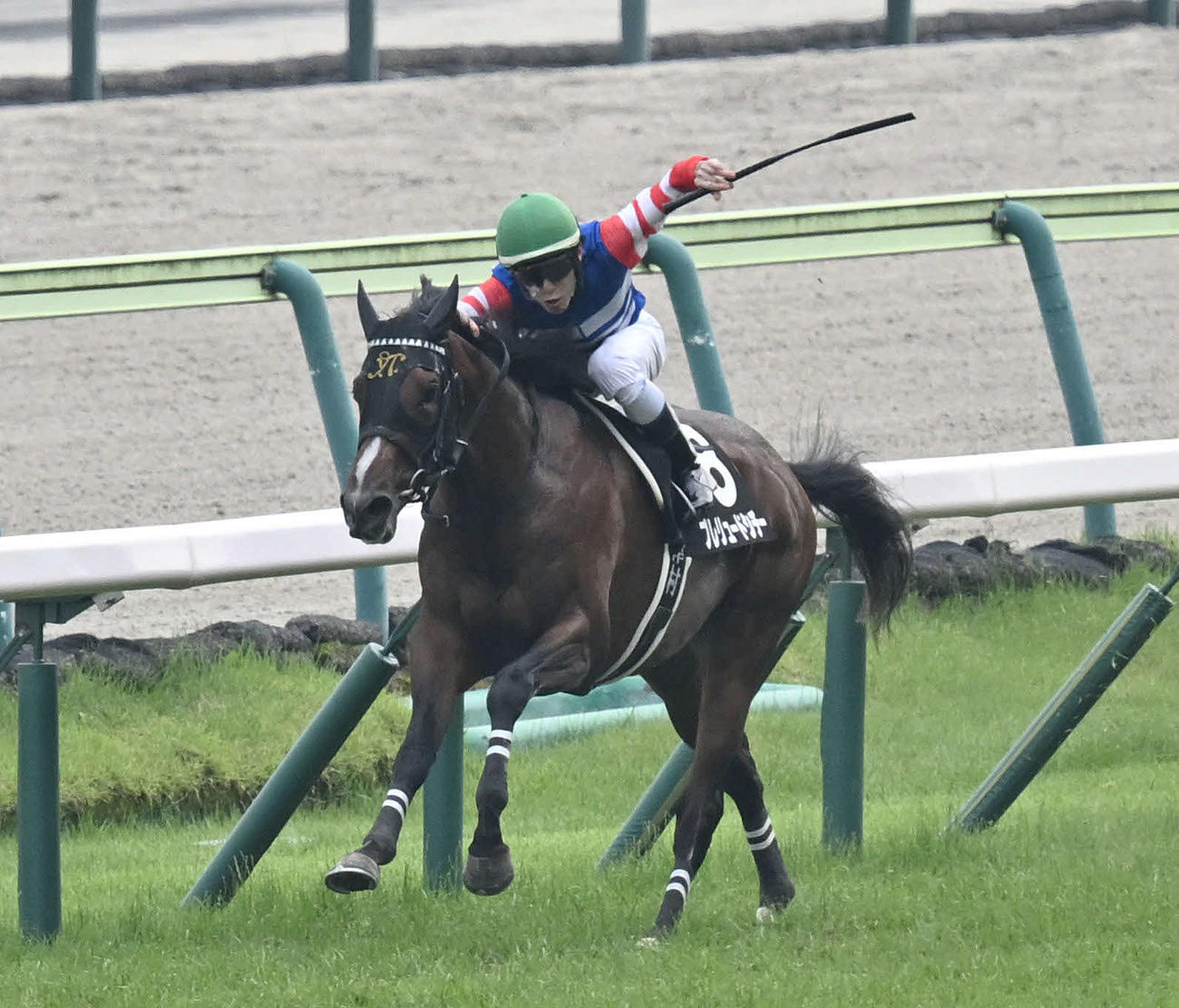 信夫山特別を制したプレリュードシチーと津村騎手（2024年7月13日撮影）