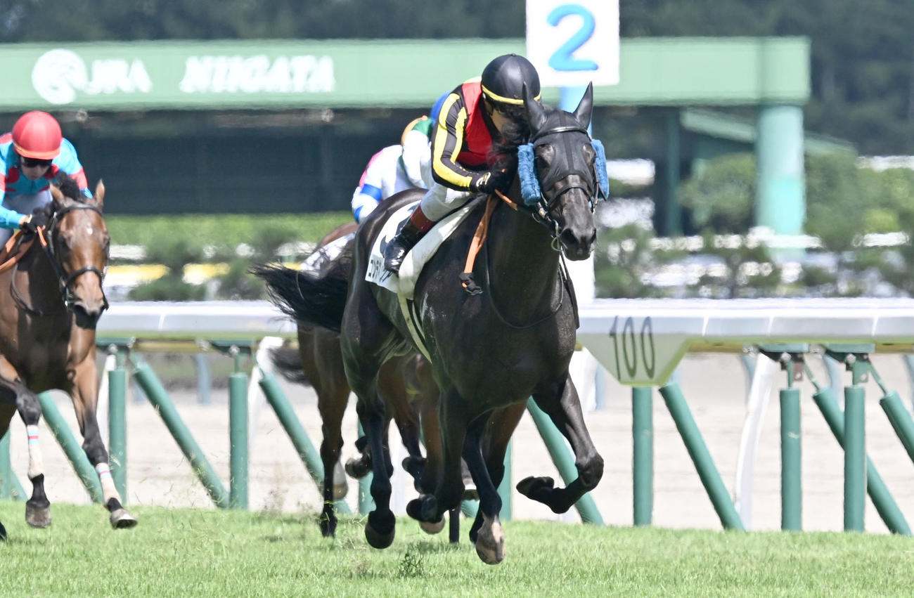 17日新潟7R、3歳未勝利戦を制したコンテネレッツアとルメール騎手