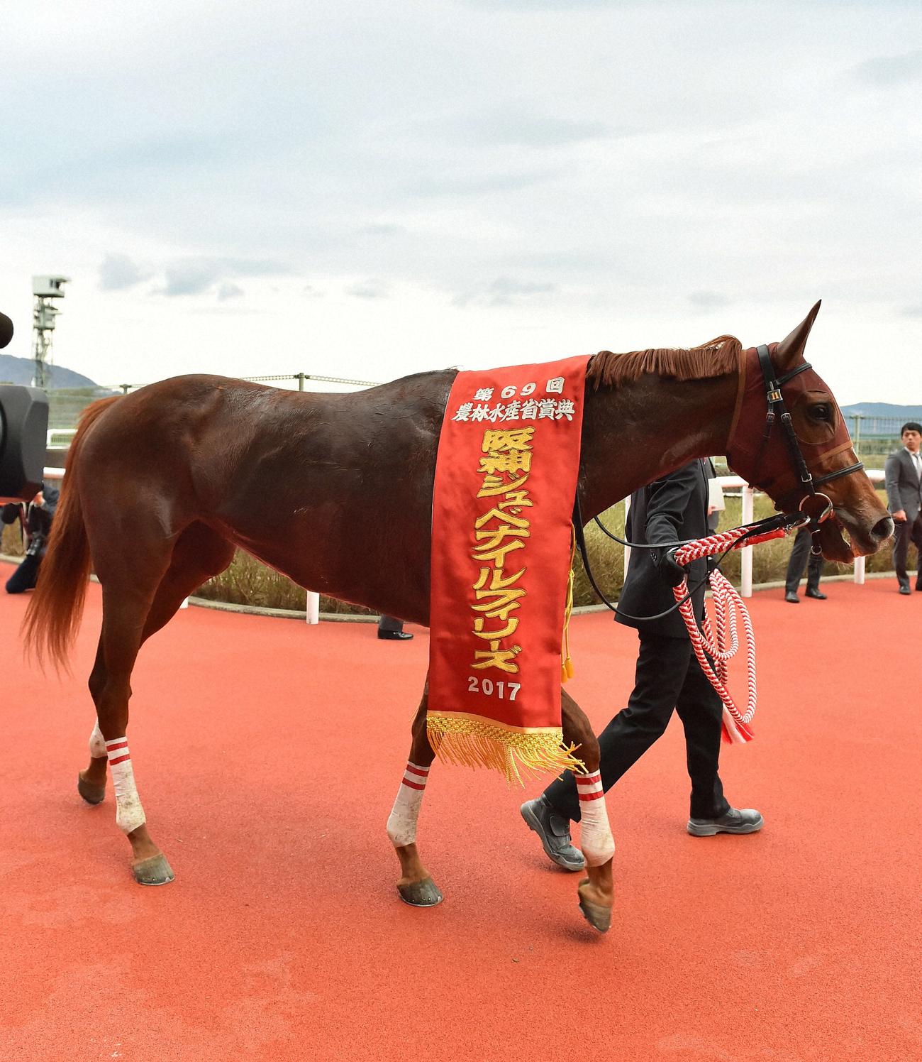 2017年の阪神JFを制したラッキーライラック