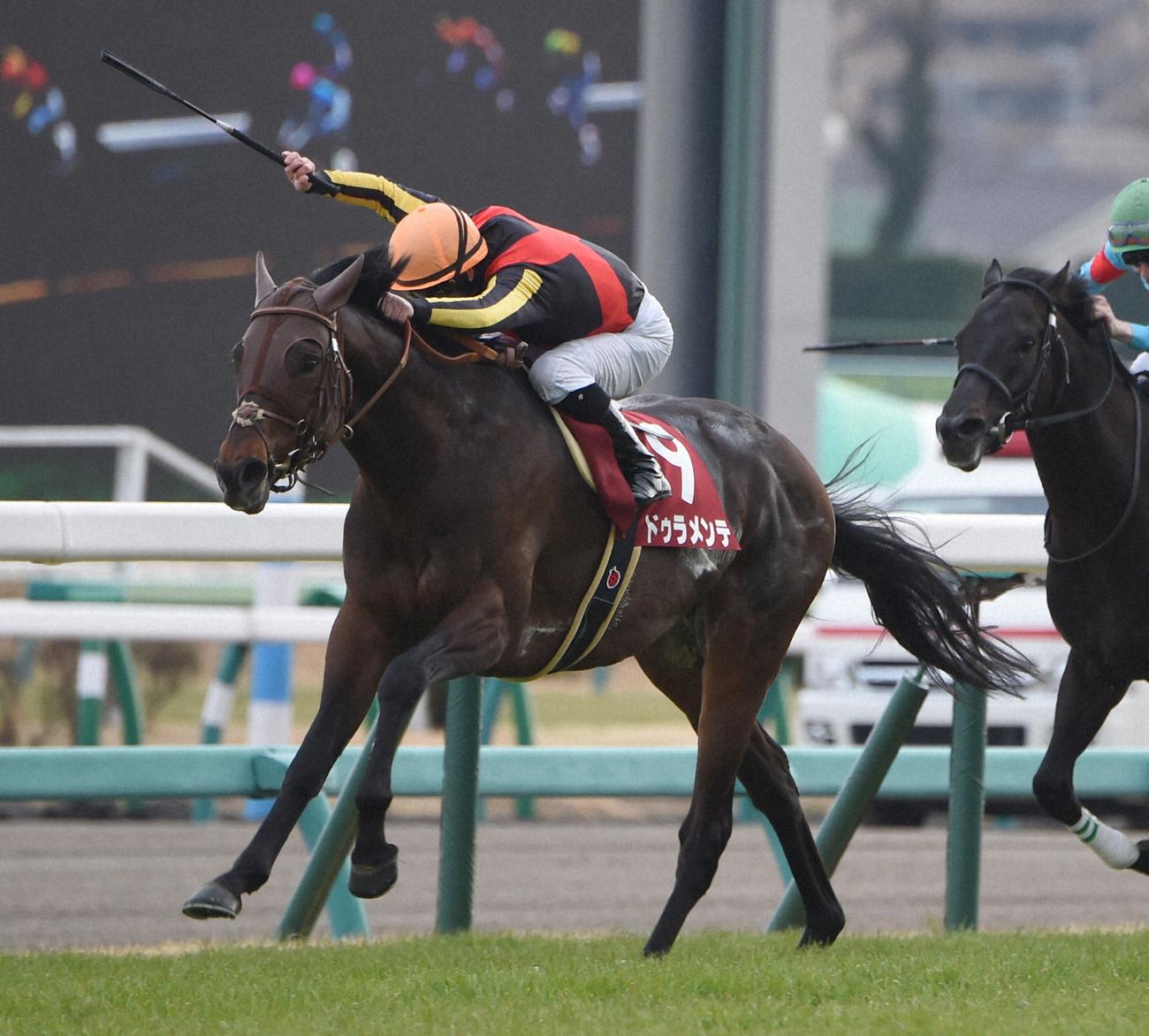 2016年の中山記念を制したドゥラメンテ