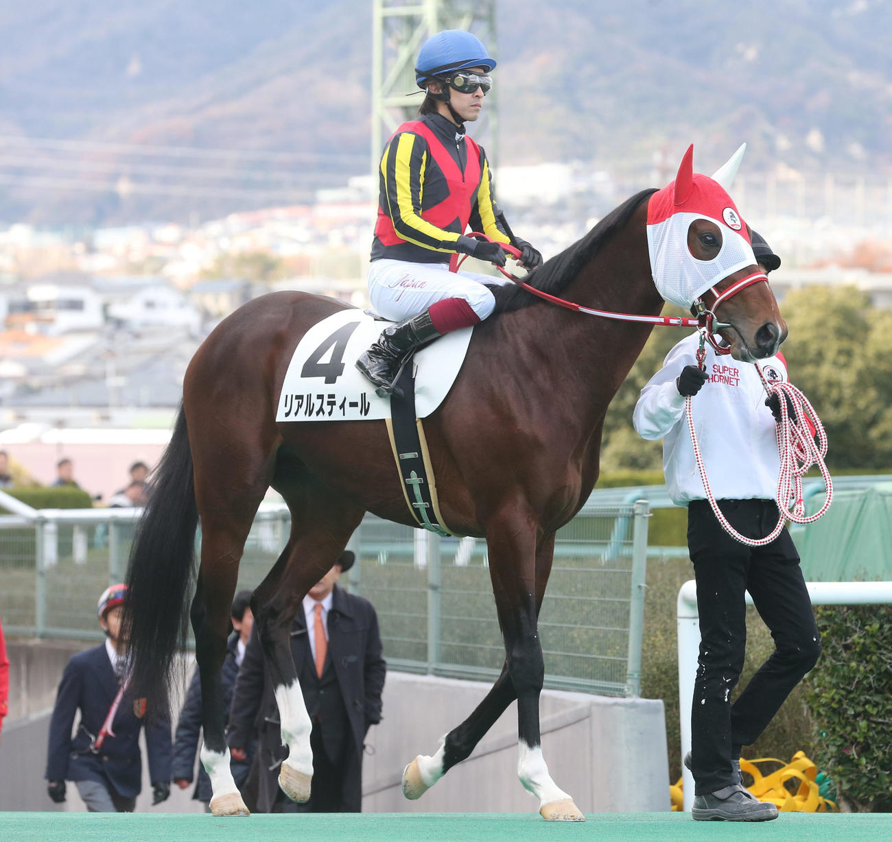 リアルスティール（2014年12月27日撮影）