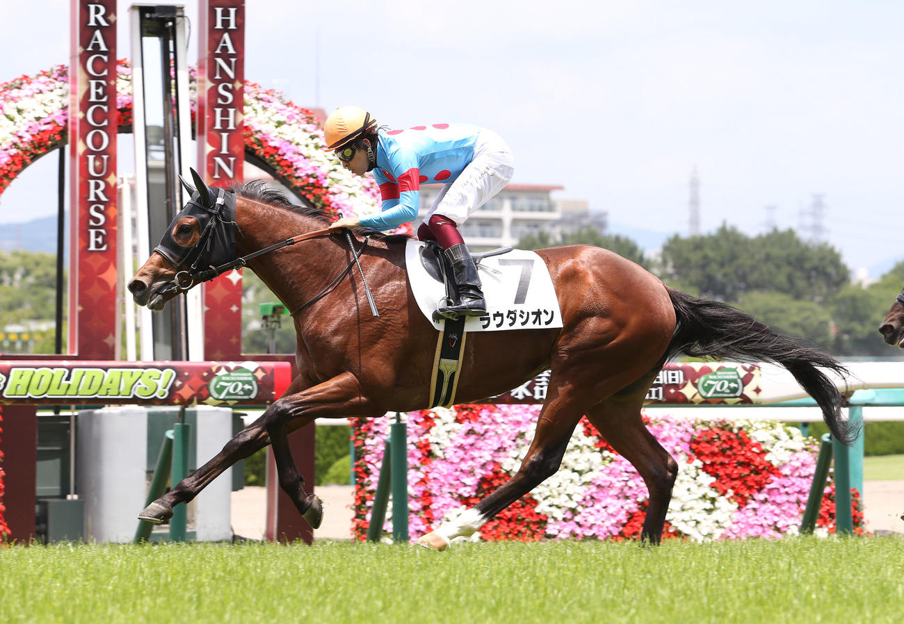ラウダシオン（2019年6月22日撮影）