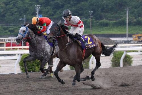 トレノ賞を制したニクソンテソーロ（手前）