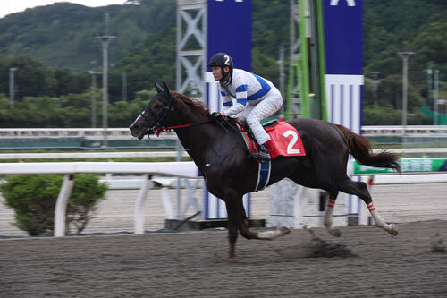 準重賞を連勝中のリケアボレロがネクストスター高知の主役になる