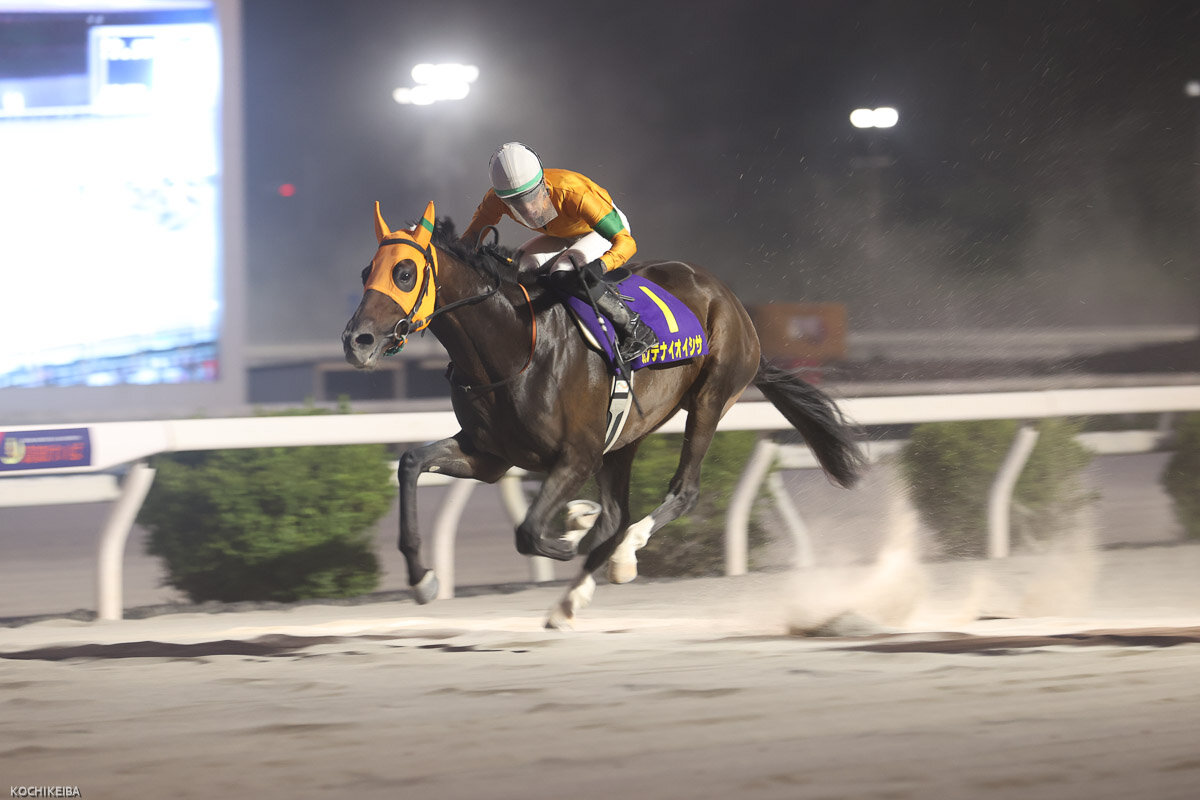 3冠馬カツテナイオイシサが3歳重賞完全制覇に挑む