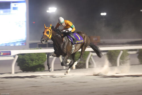 3冠馬カツテナイオイシサが3歳重賞完全制覇に挑む