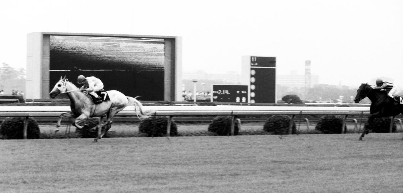 86年オールカマーで地方馬初Vのジュサブロー