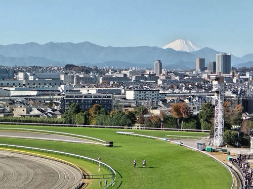 9日組＆更新の「山田崖っぷちブルース用」。エトキ不要