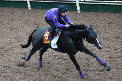 富士Sで思い出される“鉄の女”トリプティク、今週の秋華賞は“鉄の女