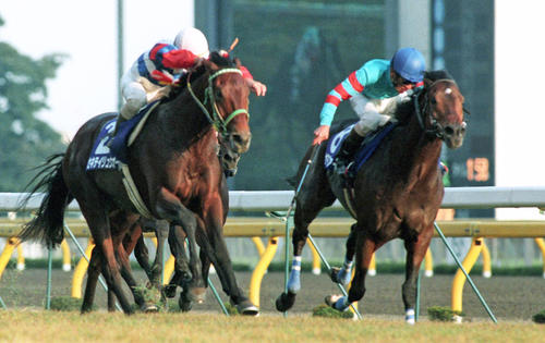 93年ヤマニンゼファーとセキテイリュウオーの激戦にしびれた元自衛隊員