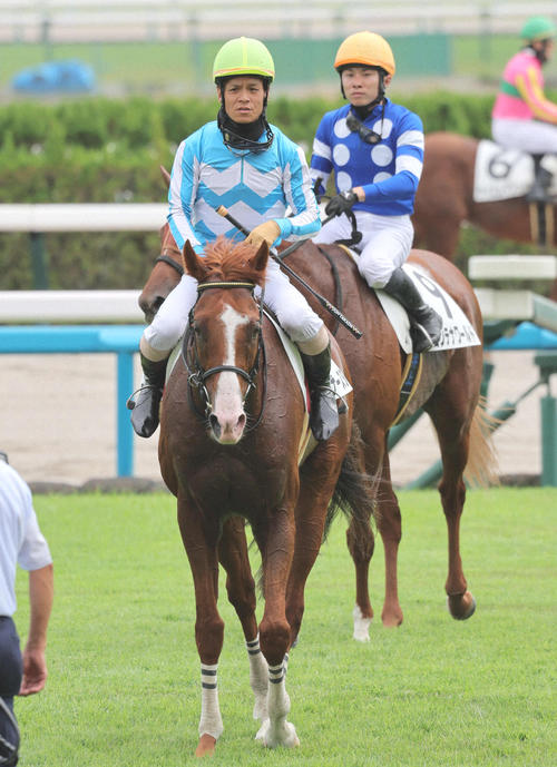 10月11日、障害3歳以上オープンを制したディナースタ