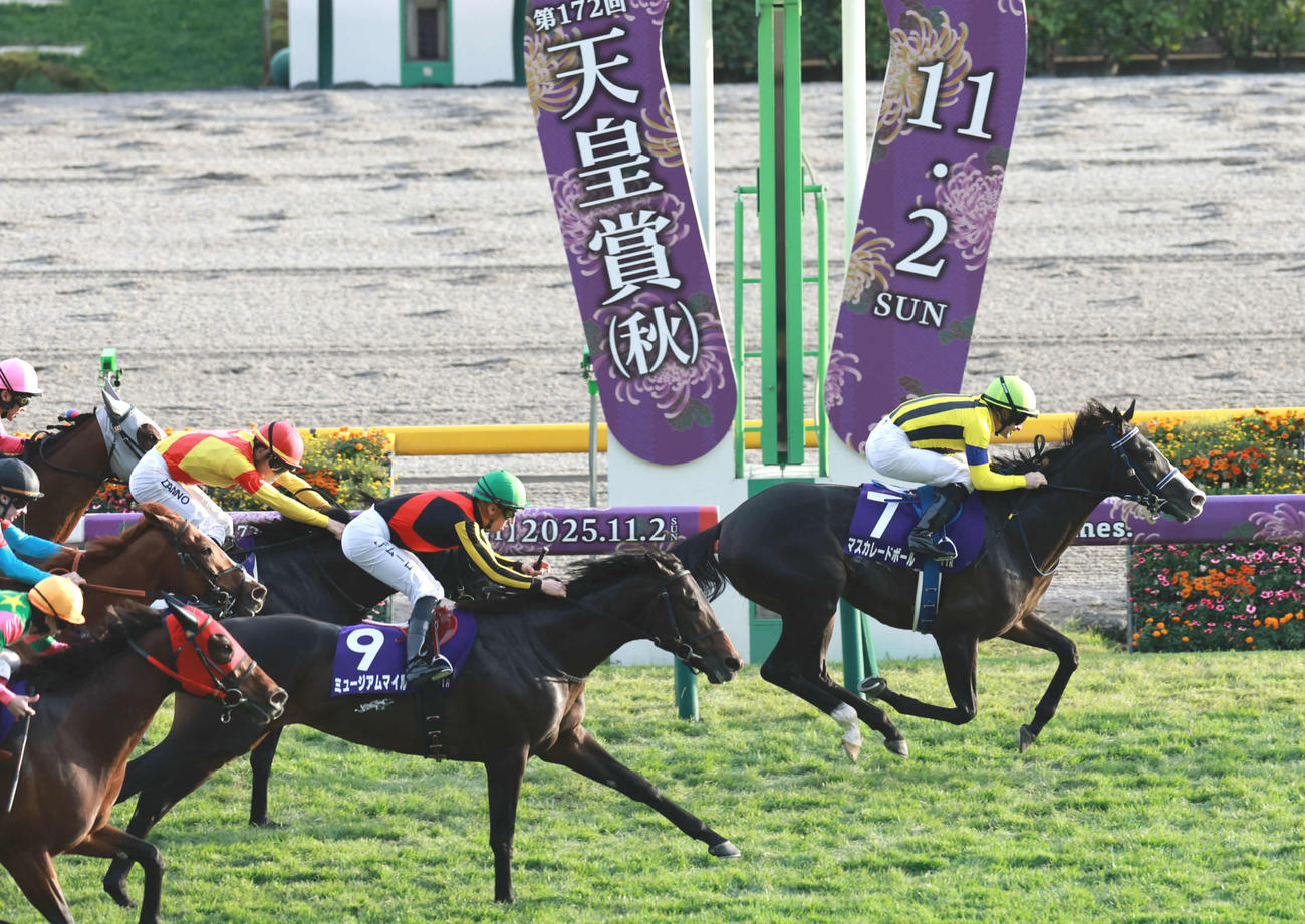 天皇賞・秋で2着に入ったミュージアムマイル