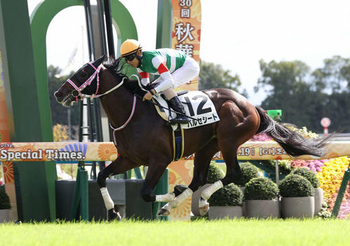 昨年10月13日京都6R、直線鋭く伸びて新馬戦を制したバルセシート