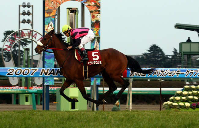 07年AJCCで重賞初勝利を飾ったマツリダゴッホ