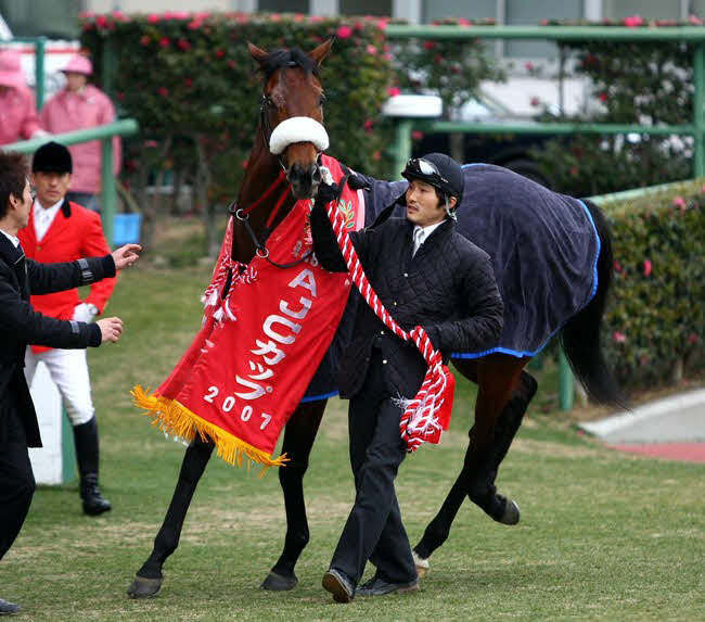 07年AJCCで重賞初勝利を飾ったマツリダゴッホ　