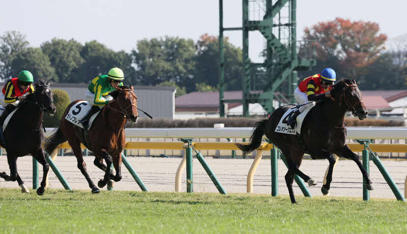 11月15日東京新馬戦を逃げ切ったコレオシークエンス（右）