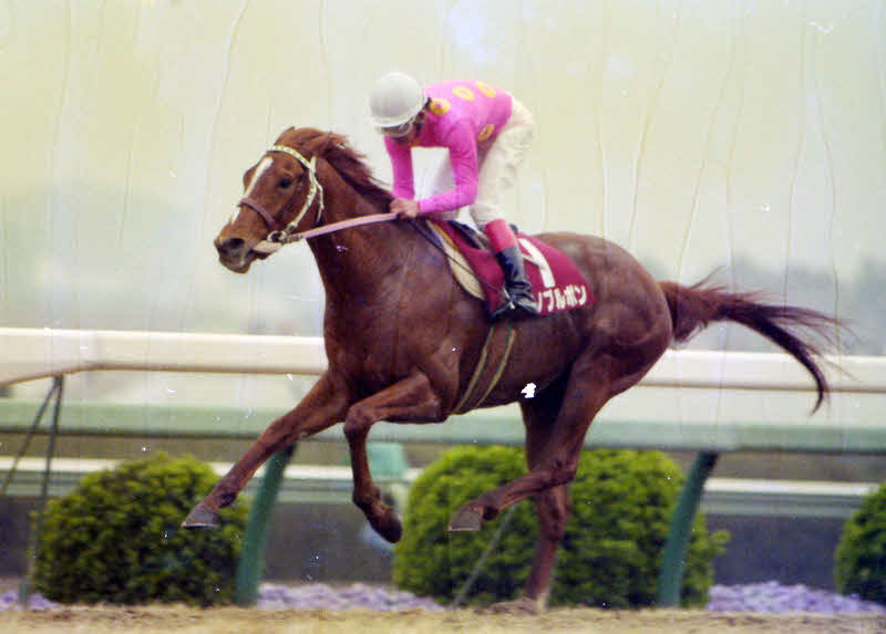92年スプリングSを7馬身差で圧勝したミホノブルボンと小島貞博騎手