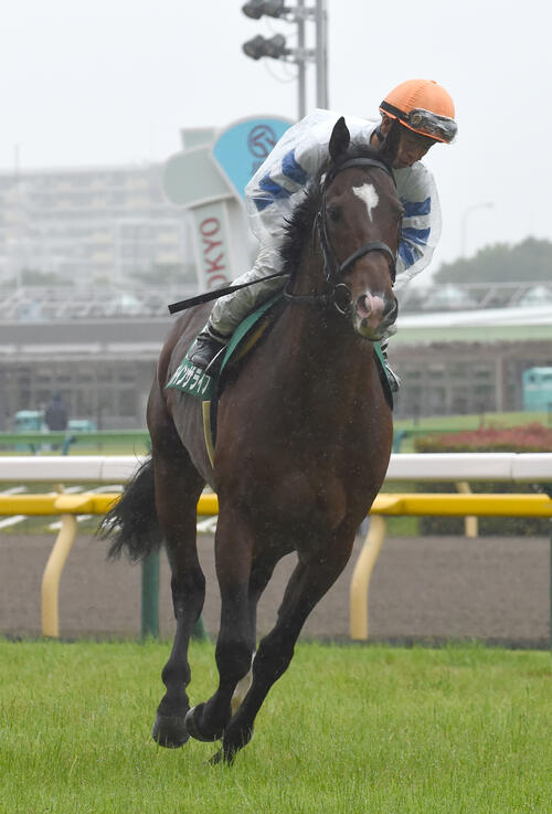 アデイインザライフ(2018年6月撮影)