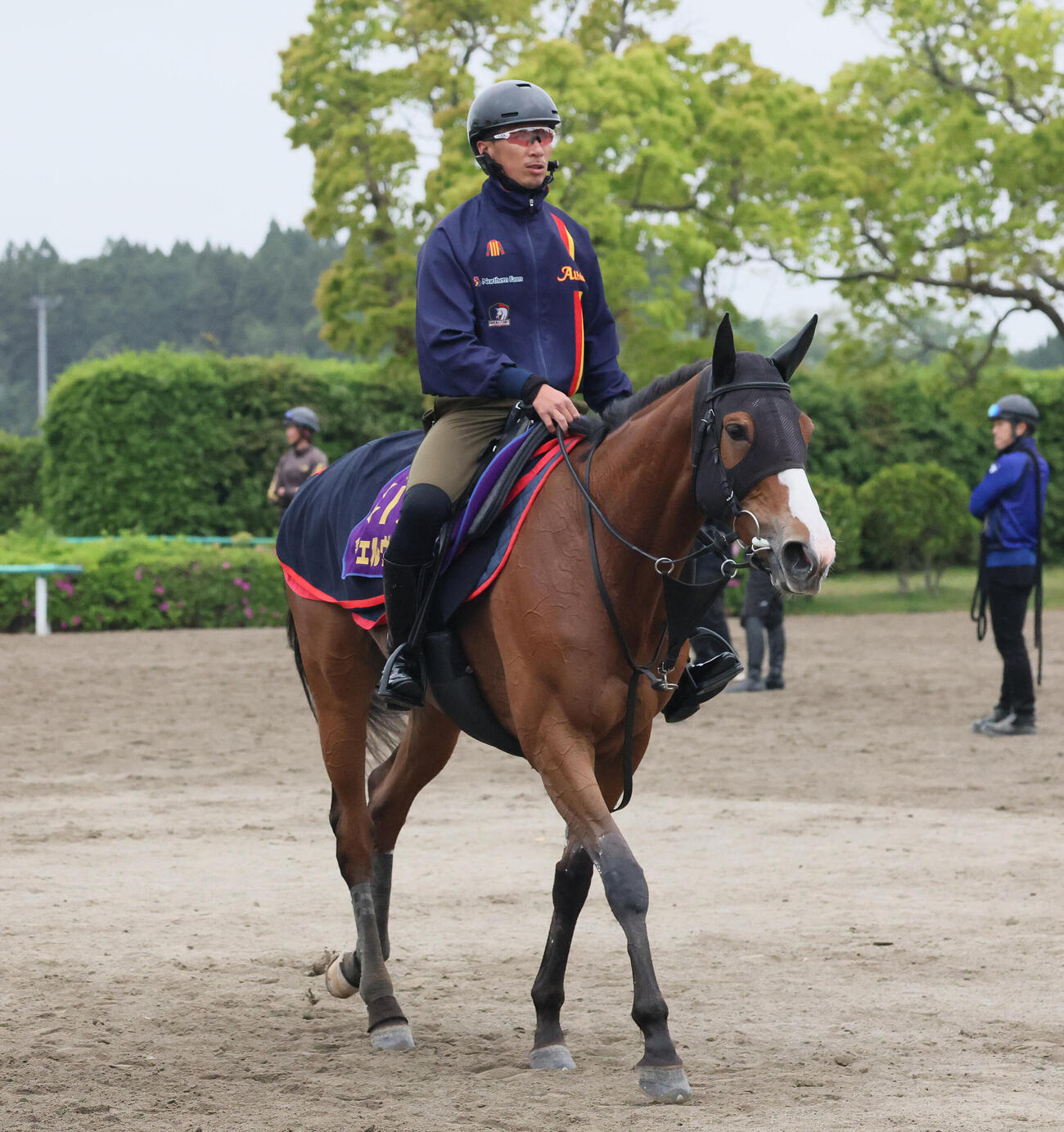4月29日、調教を終えて馬場を出るチェルヴィニア