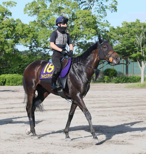 最終追い切りを終えて馬場を出るライヒスアドラーと佐々木大輔騎手（撮影・丹羽敏通）
