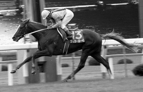 88年函館記念を5馬身差で圧勝したサッカーボーイ