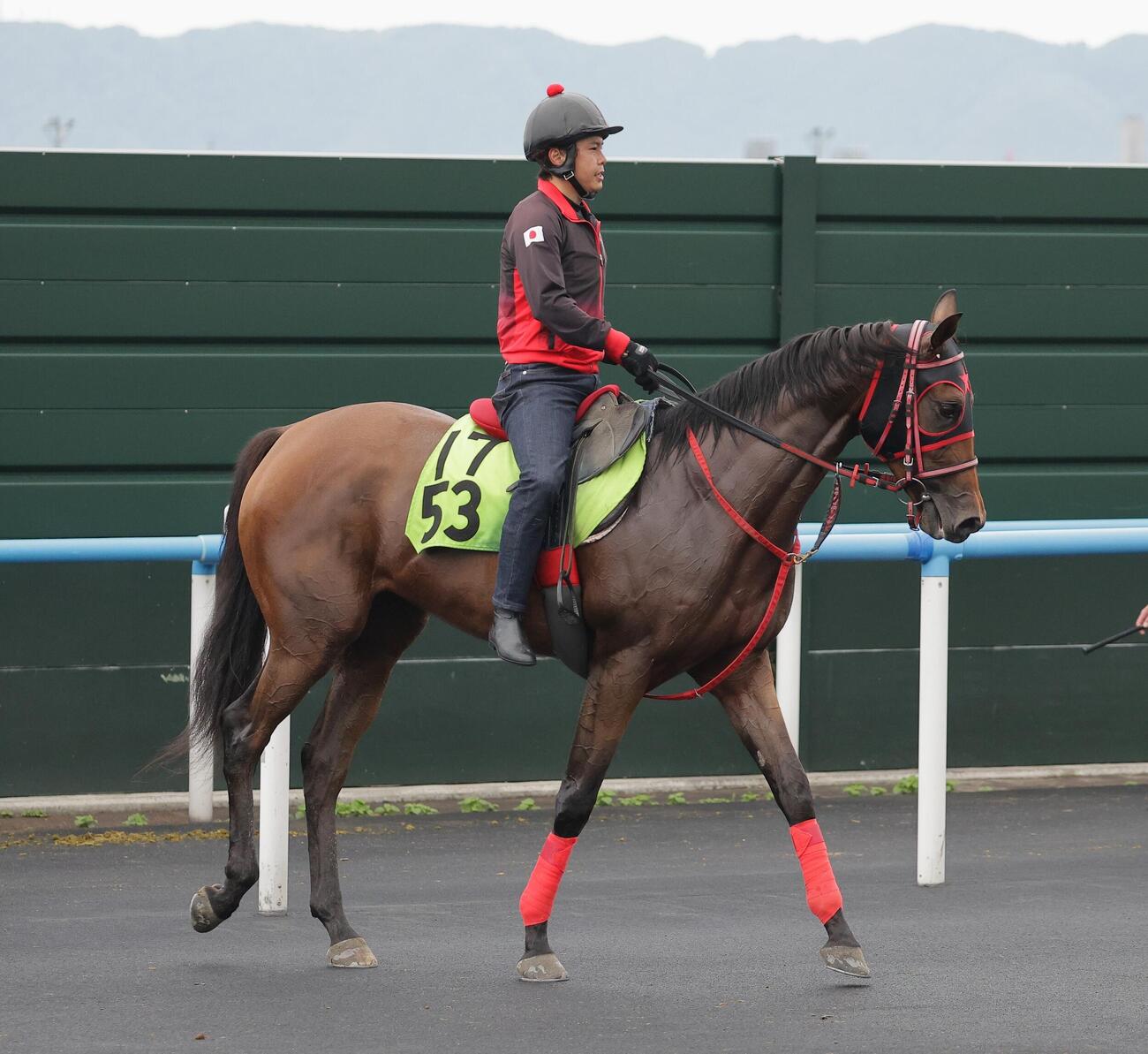 函館競馬場で調整するローザベッラ