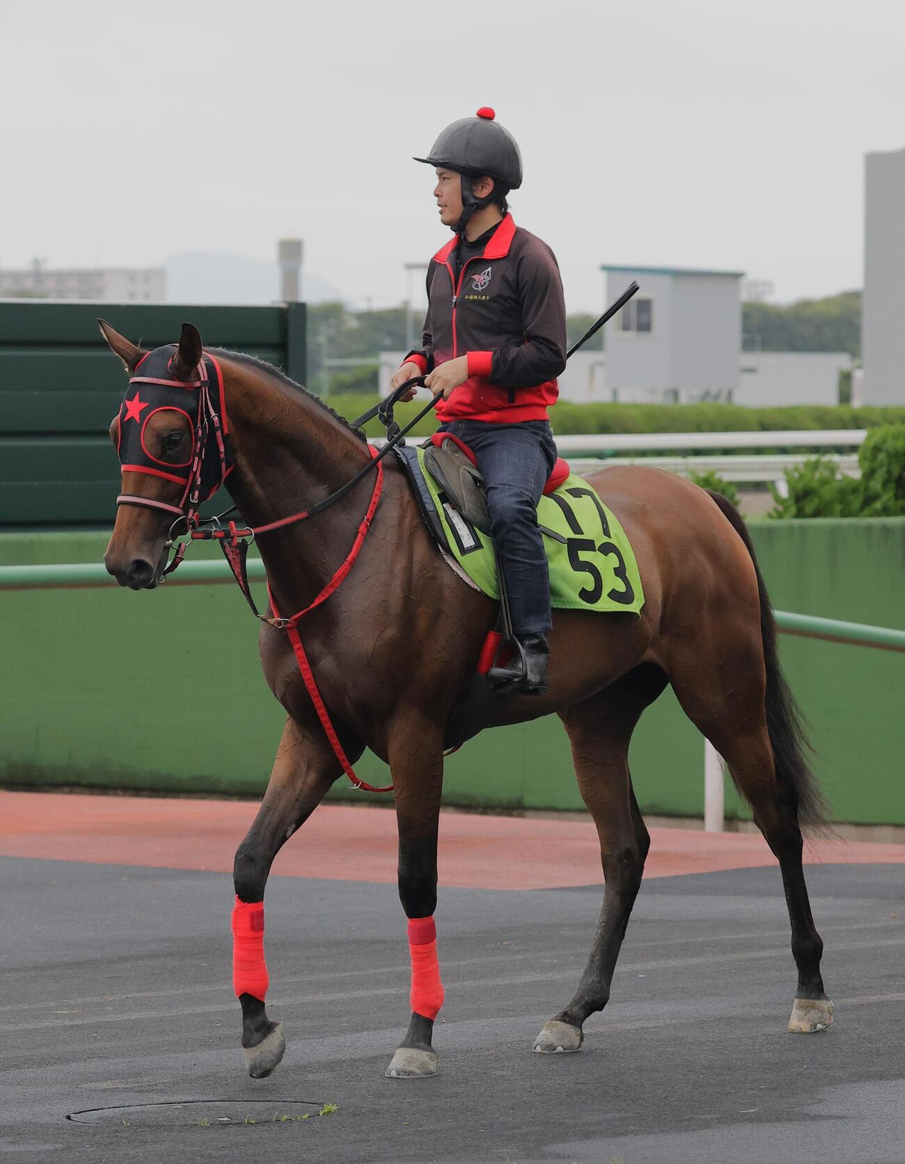 函館競馬場で調整するローザベッラ
