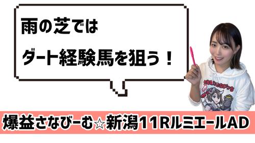 雨の芝コースの攻略ポイント!