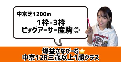 中京芝1200メートルのデータ