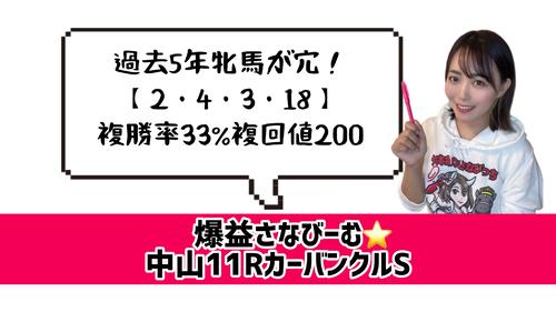 カーバンクルSのデータ
