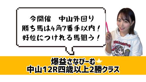 中山芝コース外回りデータ