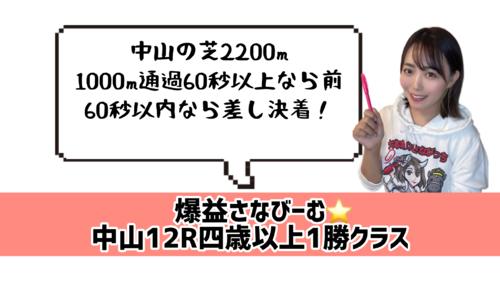 中山芝2200メートルデータ