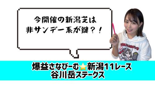 持久力タイプを狙え!