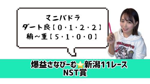 NST賞データ