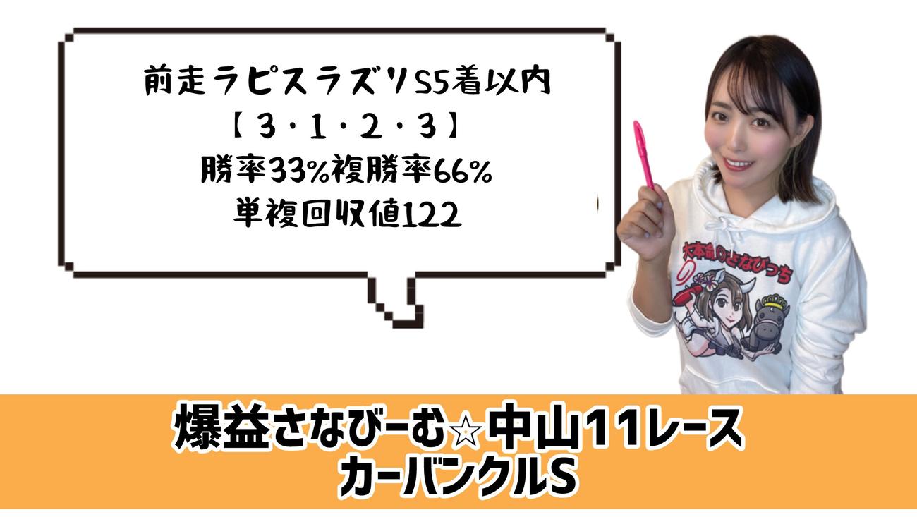 カーバンクルS　的中のポイント