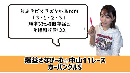 カーバンクルS 的中のポイント