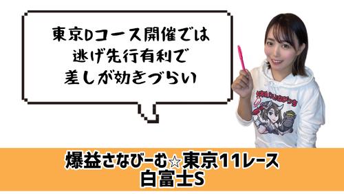 白富士Ｓ　的中のカギ