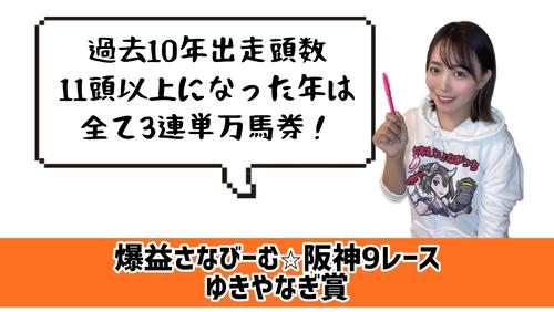 ゆきやなぎ賞のポイント
