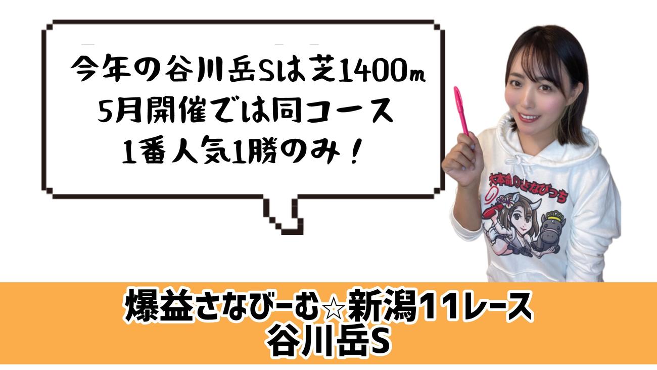 谷川岳S的中のポイント