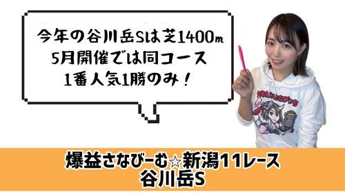 谷川岳S的中のポイント