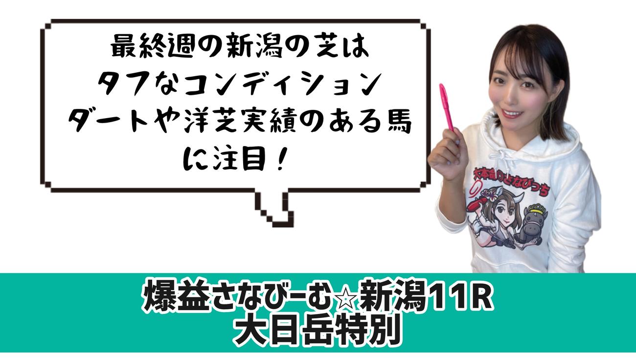 大日岳特別的中のポイント