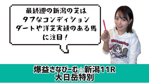 大日岳特別的中のポイント