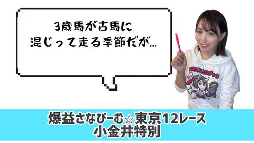 小金井特別的中のカギ