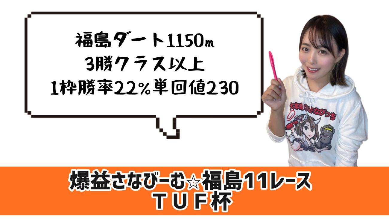 TUF杯　的中のポイント
